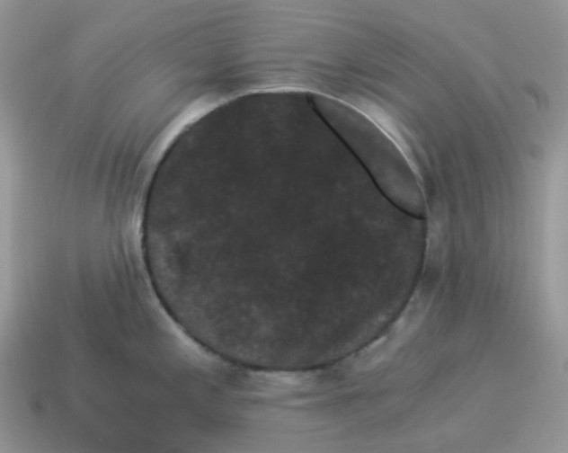 X0000114521197200911091144