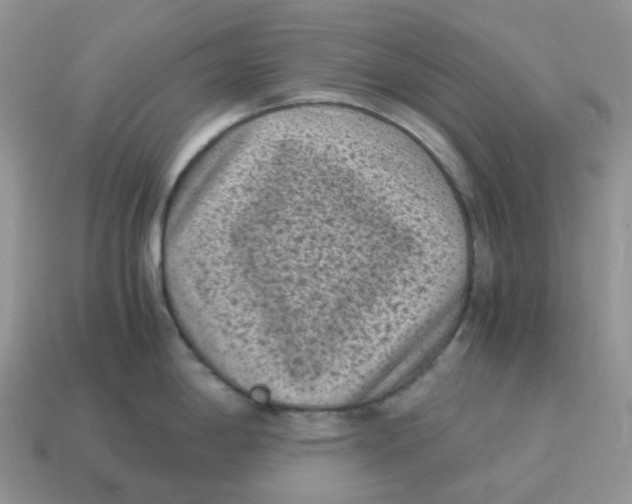 X0000114521198200911091144