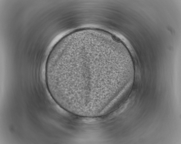 X0000114521199200911091144