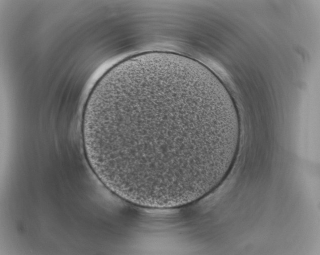 X0000114521200200911091144