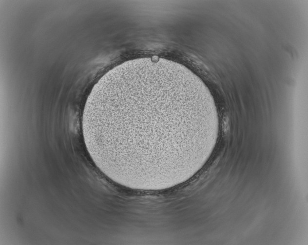 X0000114521204200911091143