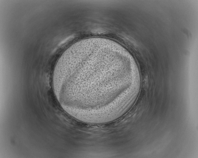 X0000114521205200911091143