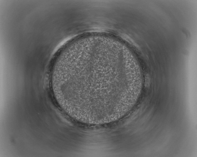 X0000114521208200911091143