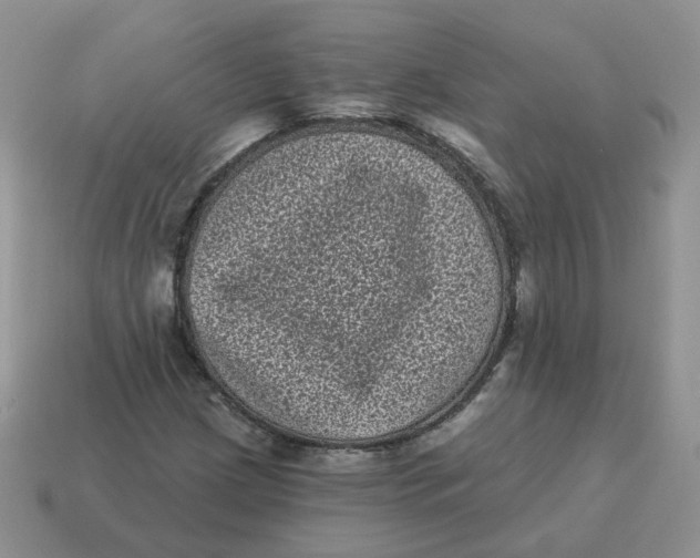 X0000114521209200911091143