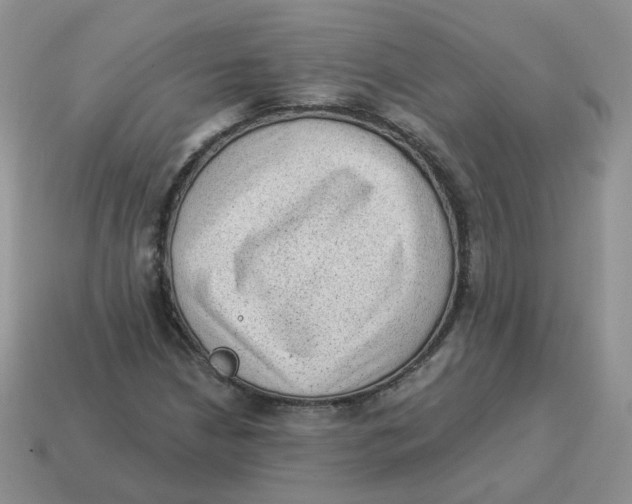 X0000114521210200911091144