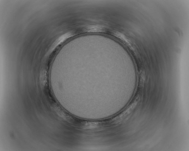 X0000114521211200911091144