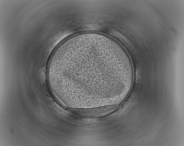 X0000114521212200911091144