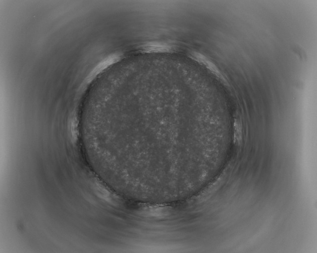 X0000114521213200911091144