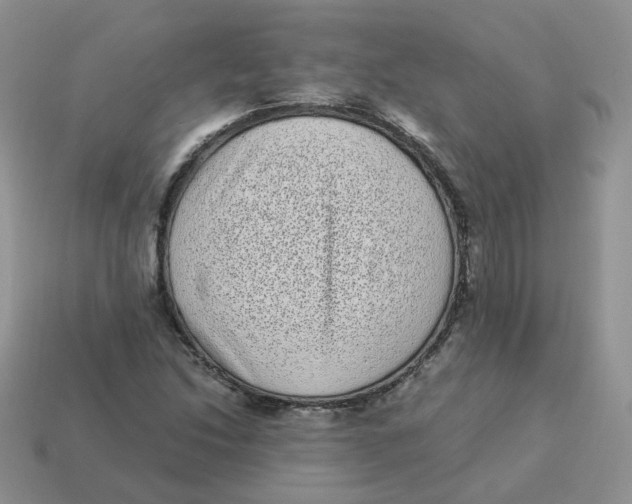 X0000114521214200911091144