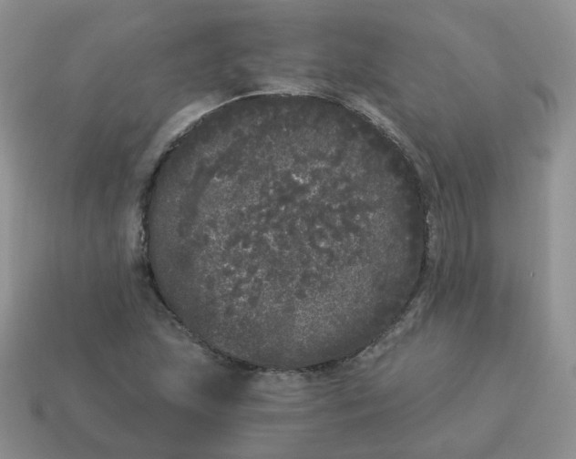 X0000114521215200911091144