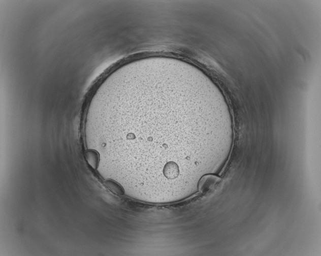 X0000114521216200911091144