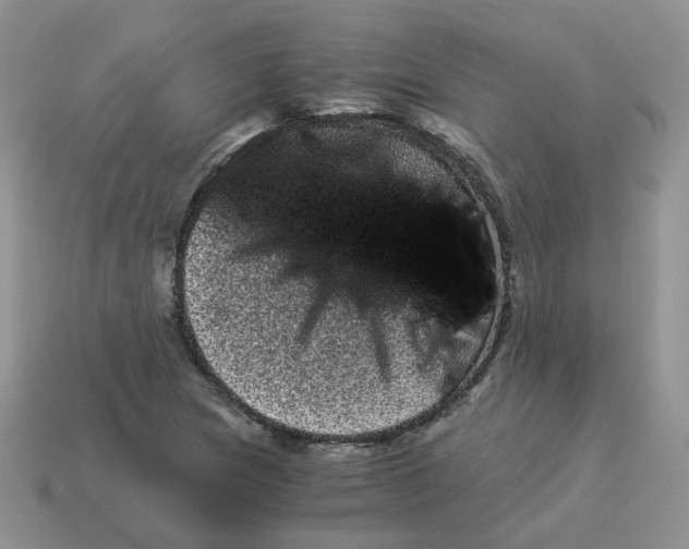 X0000114521217200911091144