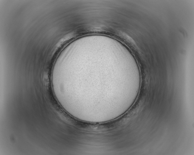 X0000114521218200911091144