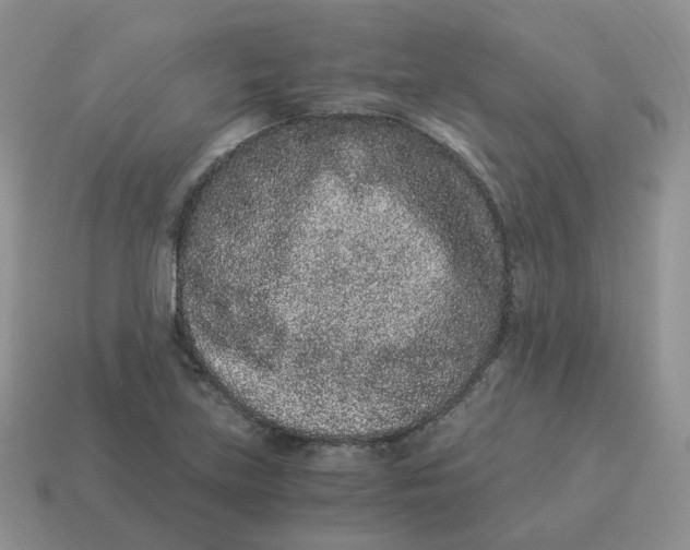 X0000114521219200911091144