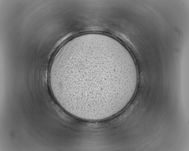 X0000114521220200911091144