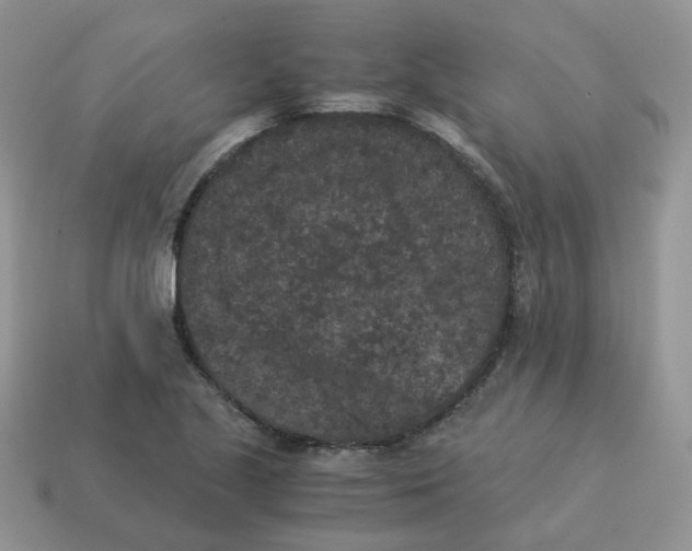 X0000114521221200911091144