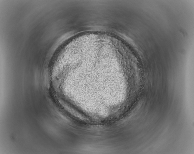 X0000114521223200911091144