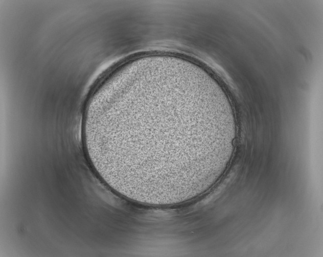 X0000114521224200911091144