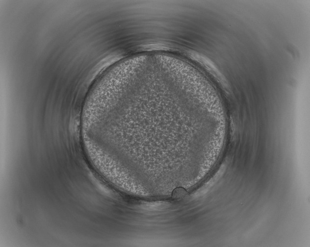 X0000114521225200911091144