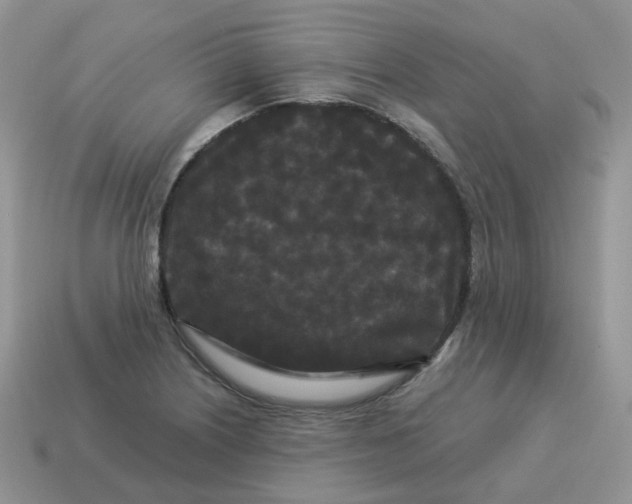 X0000114521226200911091144