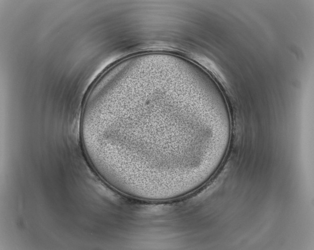 X0000114521228200911091144