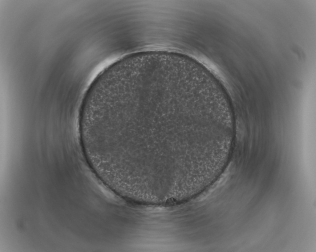 X0000114521230200911091144