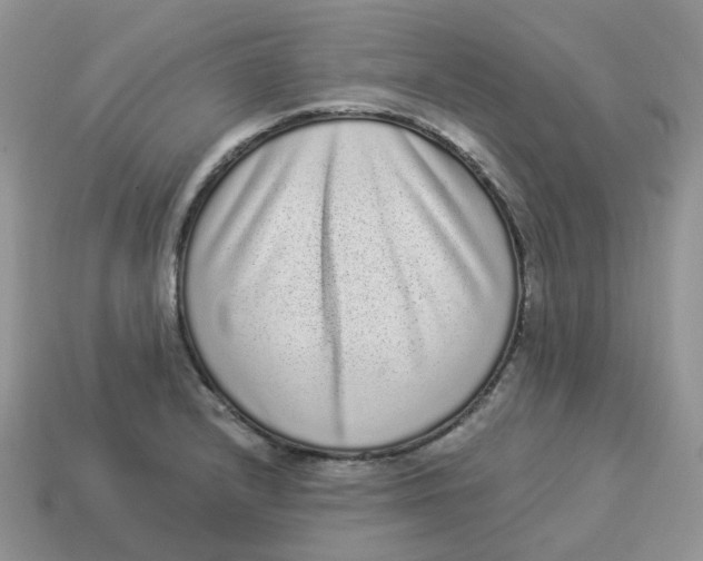 X0000114521232200911091144