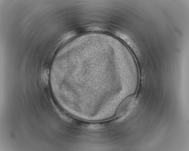 X0000114521233200911091144