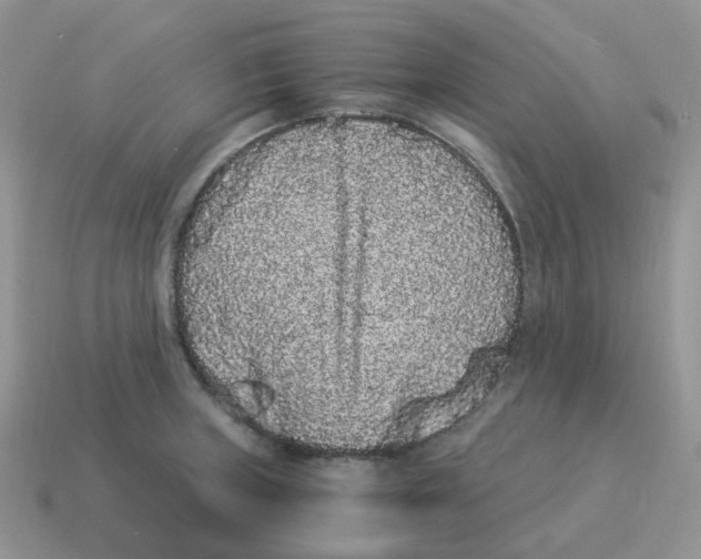 X0000114521235200911091144