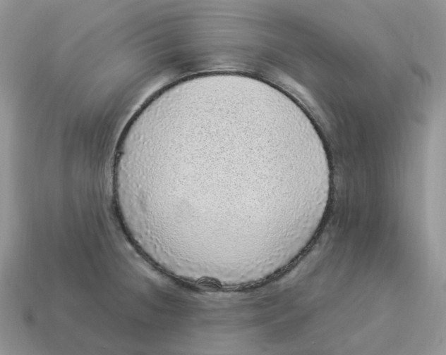 X0000114521236200911091144