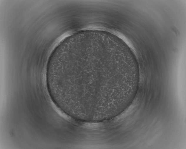 X0000114521237200911091144