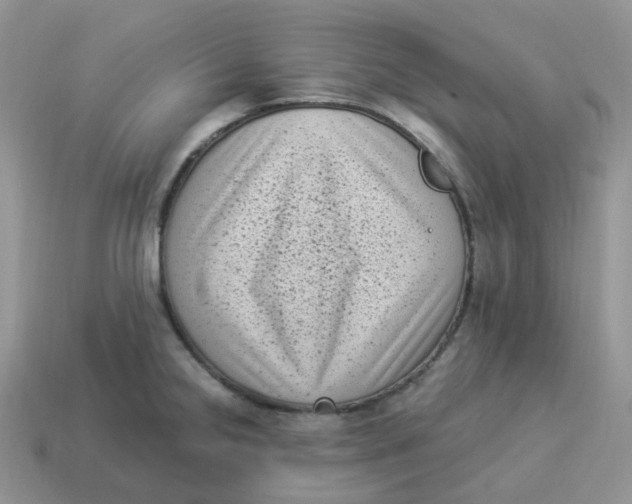 X0000114521238200911091144