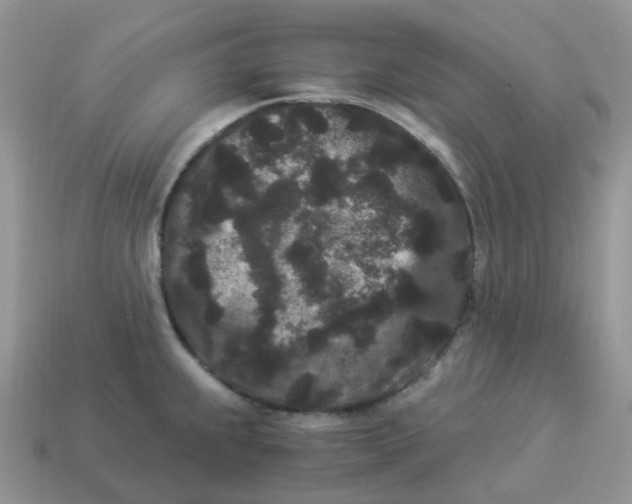 X0000114521239200911091144