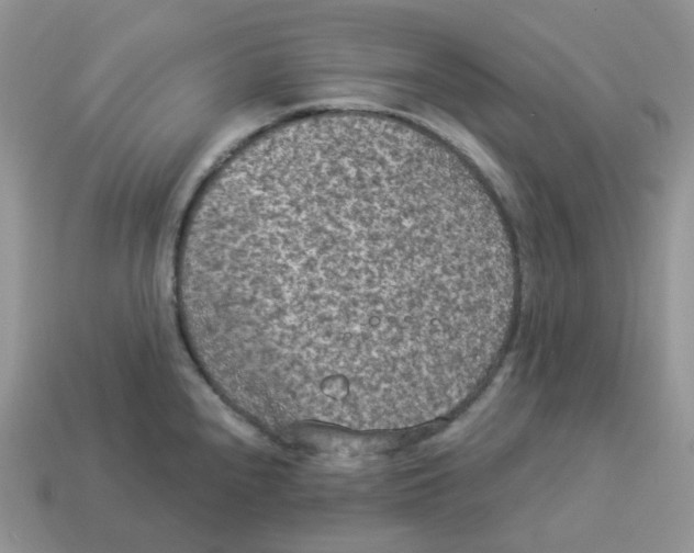 X0000114521240200911091144