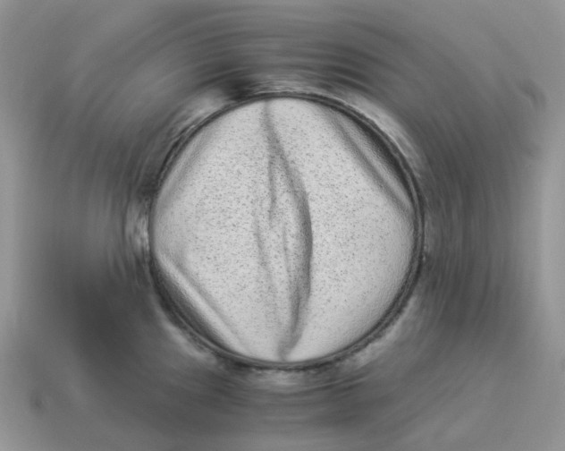 X0000114521241200911091144