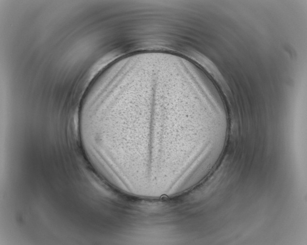 X0000114521242200911091144