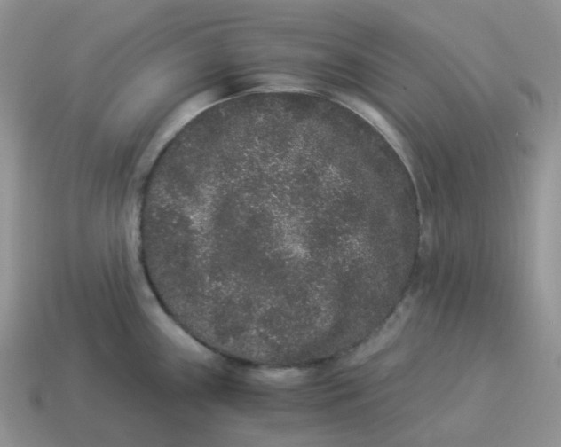 X0000114521243200911091144