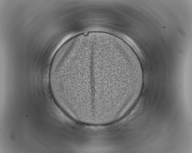 X0000114521244200911091144