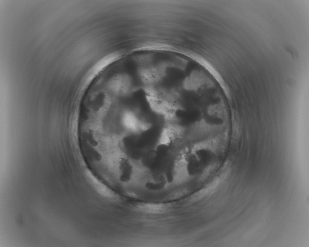 X0000114521245200911091144