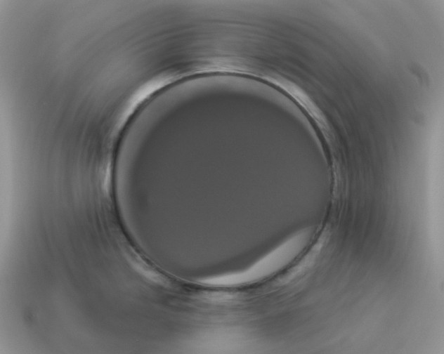 X0000114521246200911091144