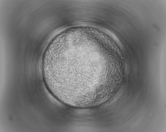 X0000114521247200911091144