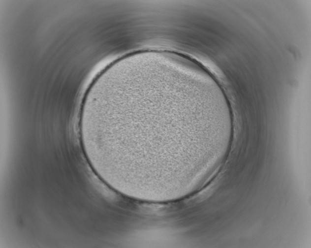 X0000114521248200911091144