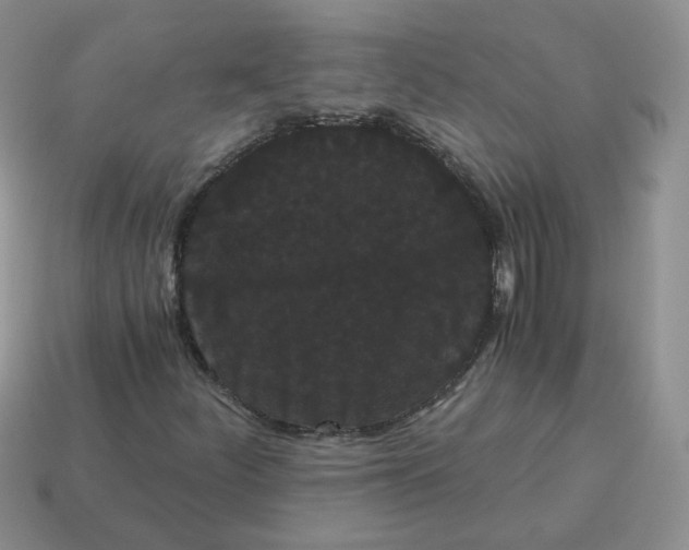 X0000114521252200911091143