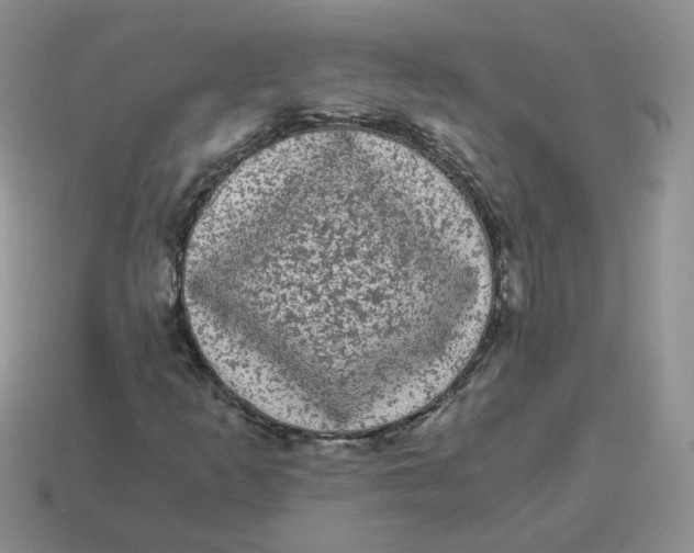 X0000114521253200911091143