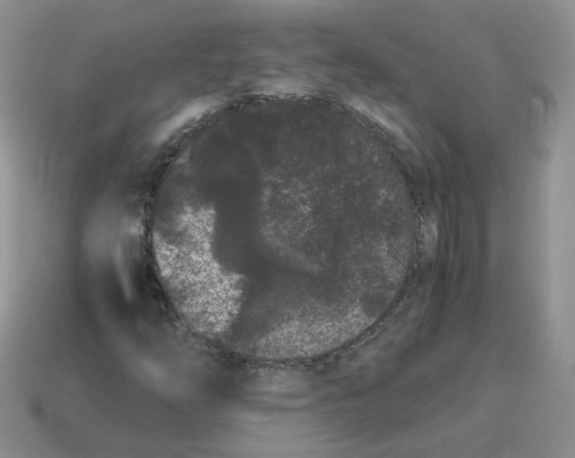 X0000114521254200911091143