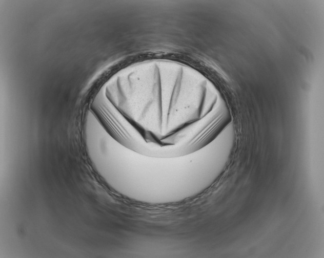 X0000114521256200911091143