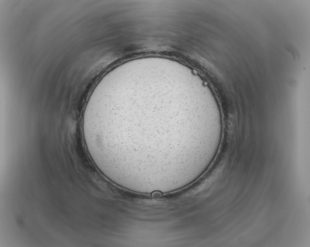 X0000114521257200911091143