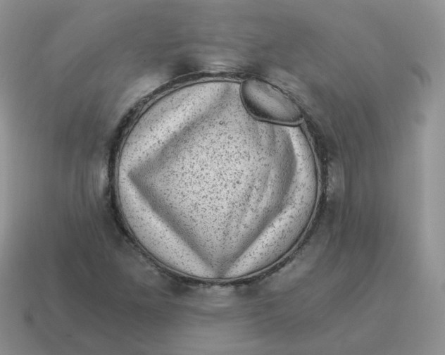 X0000114521261200911091143