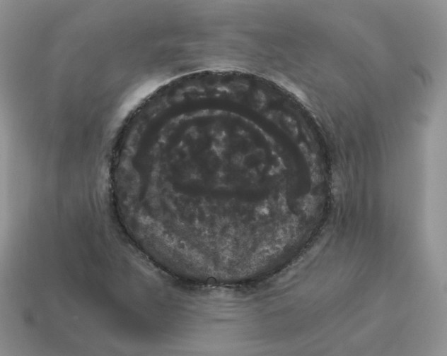 X0000114521263200911091143