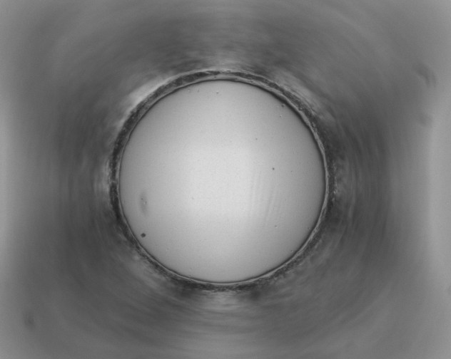 X0000114521264200911091143